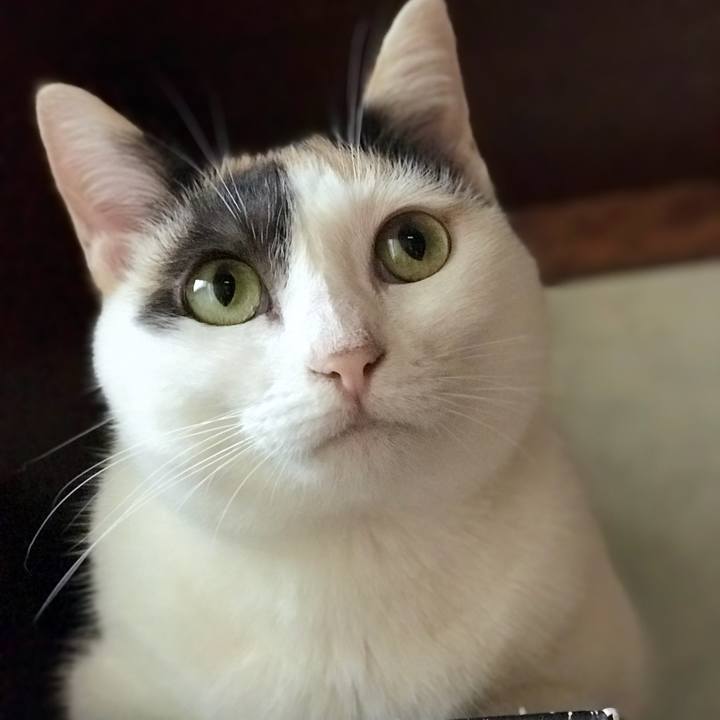 43cd5fa2 f561 45ba be45 ff61be3bcab4 1535417528059