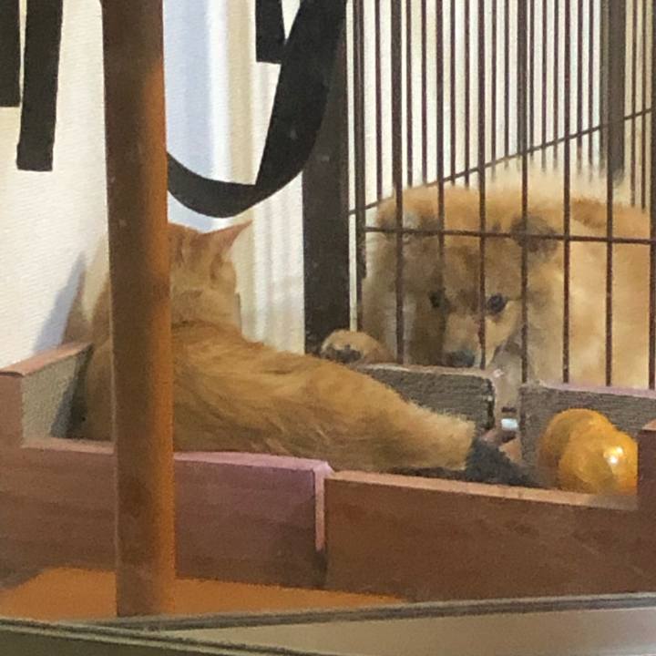 43cd65c8 26bd 49d5 8d6f c5b886a52cb6 1591065565580