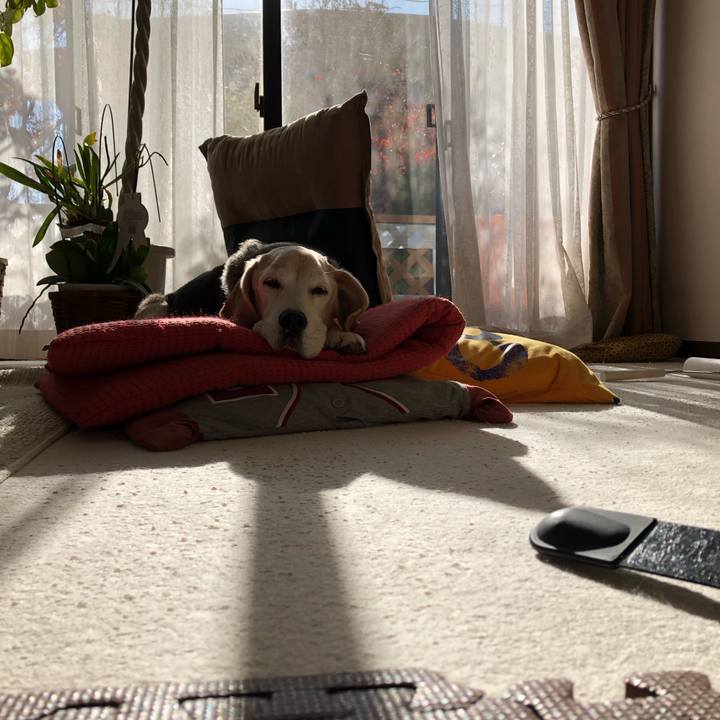 43cd721e 4759 4f86 855e c2364e85a521 1575029398379