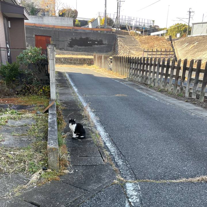 43cd8589 e3da 41dd 85a6 29caaf58efdb 1763987235789