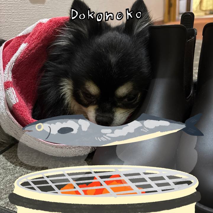 43cd98b9 3dd0 4da2 97e2 9d3281a88c9b 1761099512698