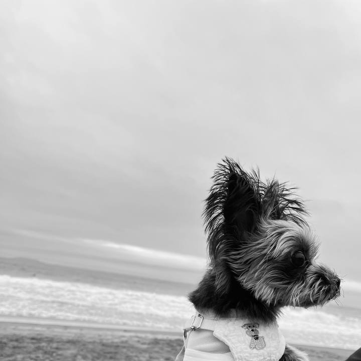 43cdd154 cff3 40ed a134 abc283c726a8 1763866141841