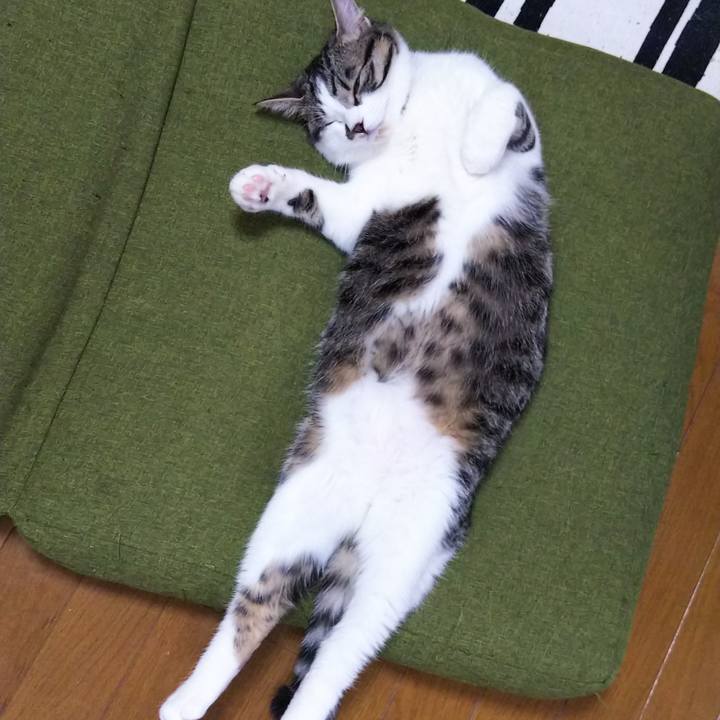 43cde67c 318c 48b3 bafa acca84a71434 1620220463692