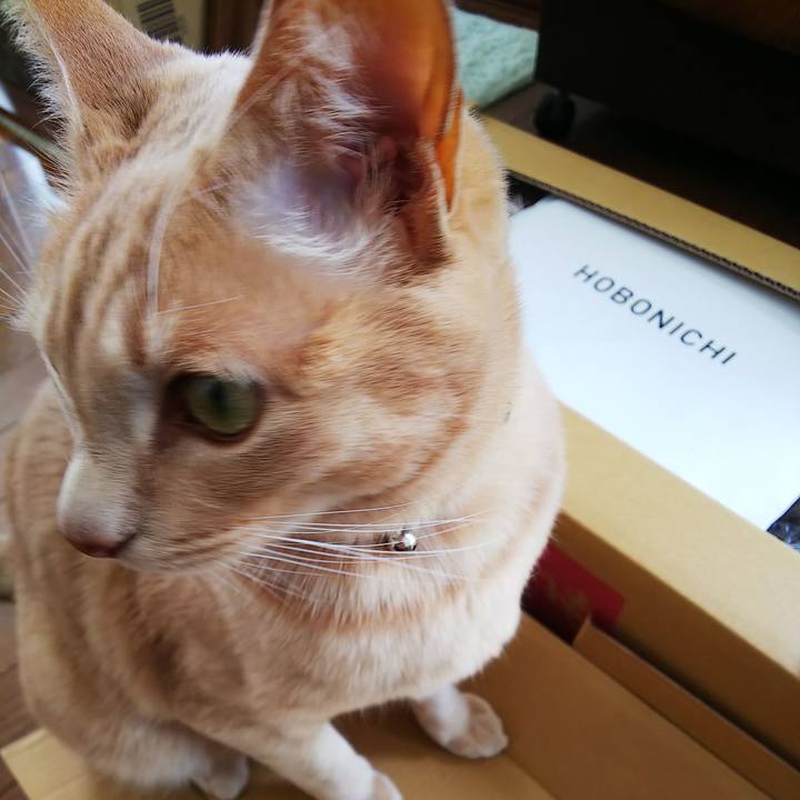 43cdec2d c93c 4c4b 8e0d 819c409f66a2 1609035907735