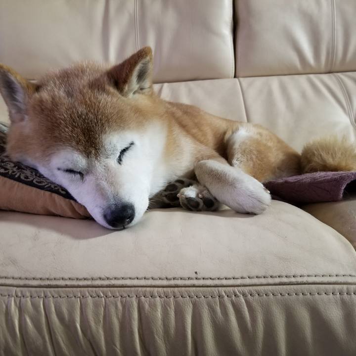 43ce104f e157 43e8 9fb4 992c253bef97 1708124833595