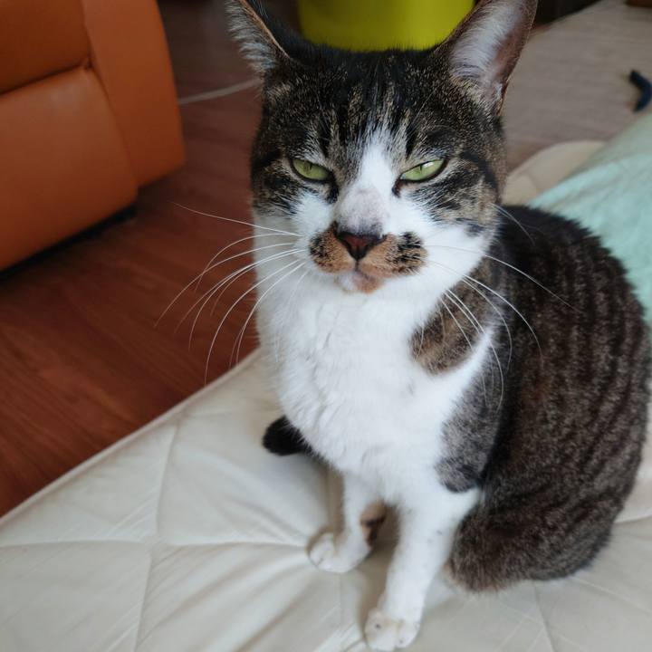 43ce159b 7c4d 44c2 a8cb d4eac9bc47f0 1758777182371