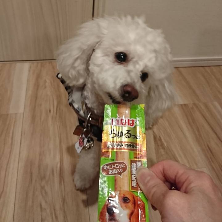 43ce17b2 81f2 4b7b aa0d a1ee7b4cf46a 1522936740390