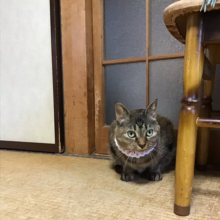 43ce1e99 e9d6 4b0e b942 2e2e502929ff 1749028061700