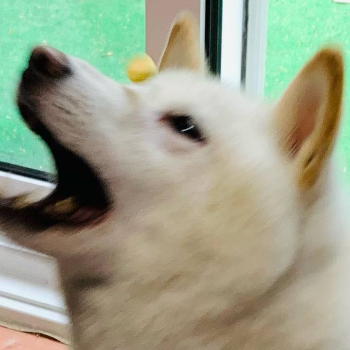 43ce4555 5bae 4dc8 973c f26592d3bfad 1665404997736