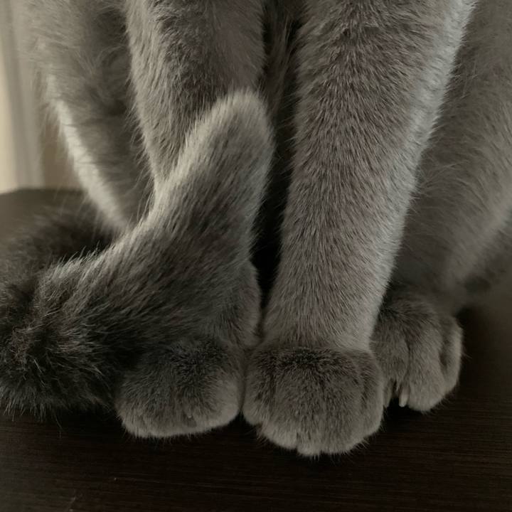 43ce6f7d ce20 4349 9a01 f1c029b31232 1609803946198