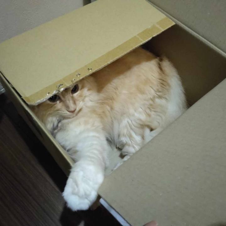 43ce70b8 0757 400c 8785 b3bd5b8ce5ed 1690031388074