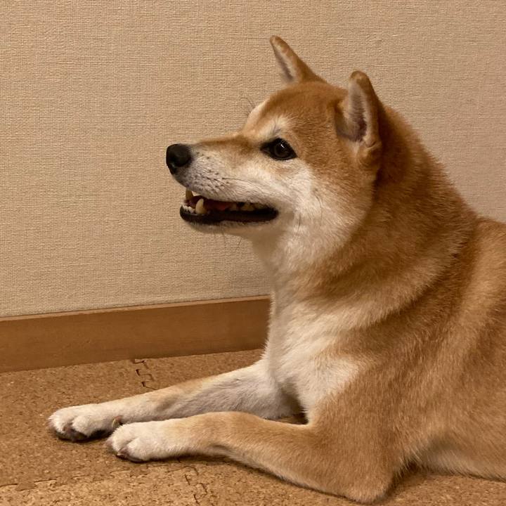 43ce8169 a1e9 4a20 b4c4 e99cc90882cd 1694911551275