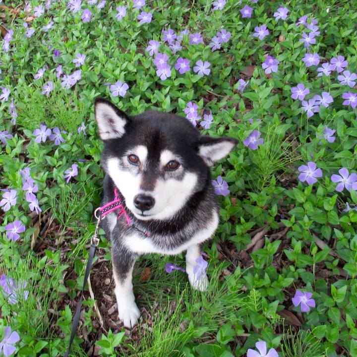 43cea9ba 4186 454d 9f66 a65678eabe50 1588241297578