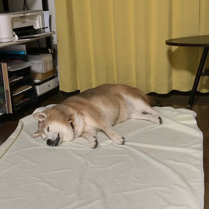 43cebae5 ff5d 4149 996c 2768b2e81fb6 1661956697286