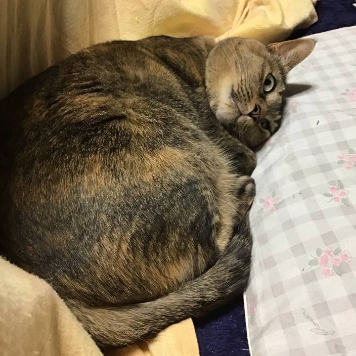 43ceebe1 6b50 4b36 b730 bf350b55db51 1735985417499