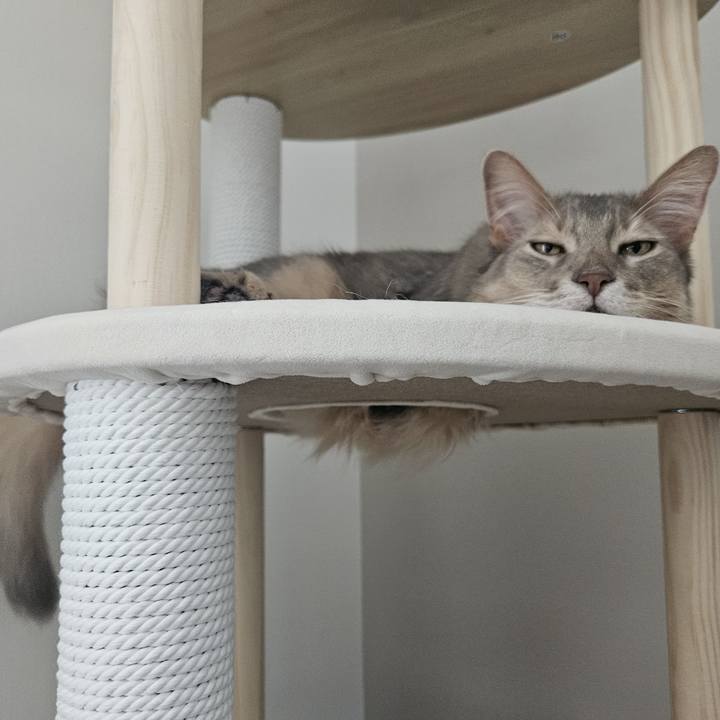 43cf1431 c093 4983 b735 395143265871 1747553481885