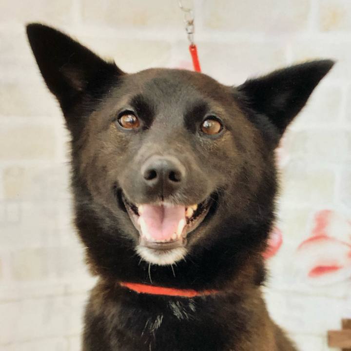 43cf6372 dbdc 47c2 9e5d dfefb2ce68d0 1587780850579