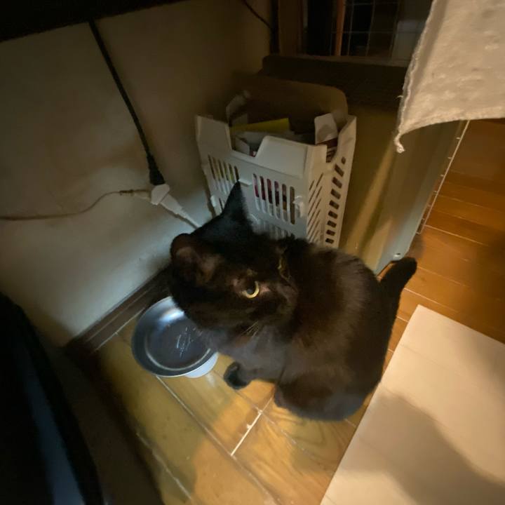 43cf6915 8e4e 430b bbd7 c668a238f625 1644503339996