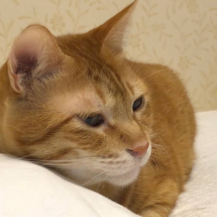 43cf8490 a06d 4b9f b489 167c6095bf8a 1573941053572