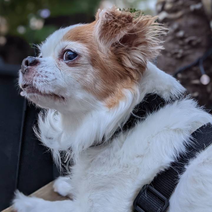 43cf8df1 5af6 4754 bd4a fbab41738984 1627736532579