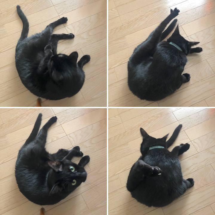 43cf8f33 728a 42d2 ae21 7d9f193493cc 1578321269857