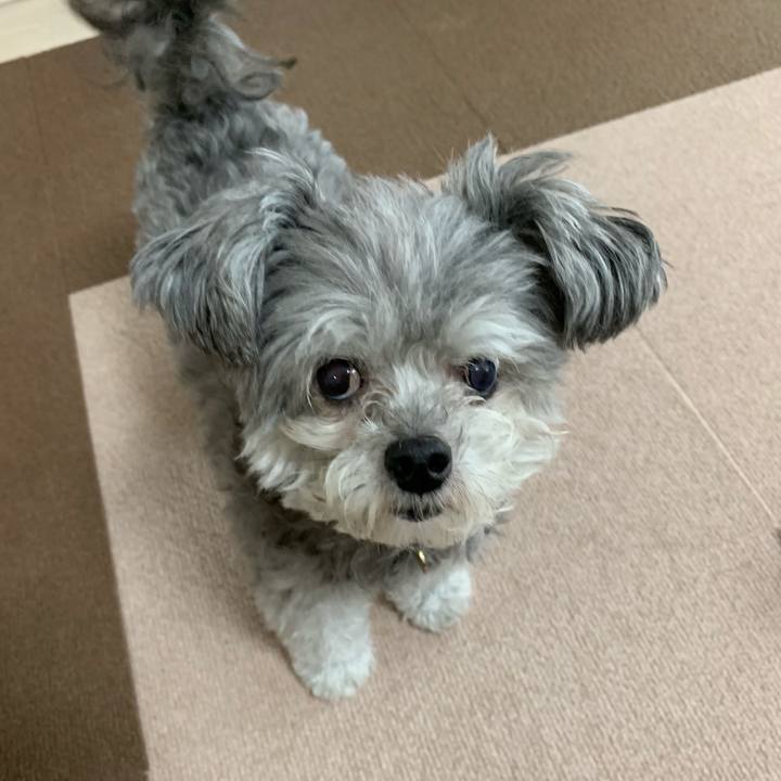 43cfbec9 9a6b 4311 9491 73f069144cbf 1561258811022