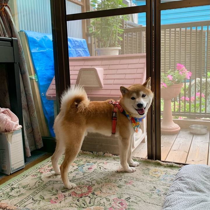 43d00620 64d1 49f3 a350 1d32240ab045 1623929542831