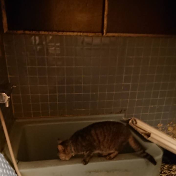 43d02af2 2edb 438c a1d9 505bde8ad8ed 1572944219300