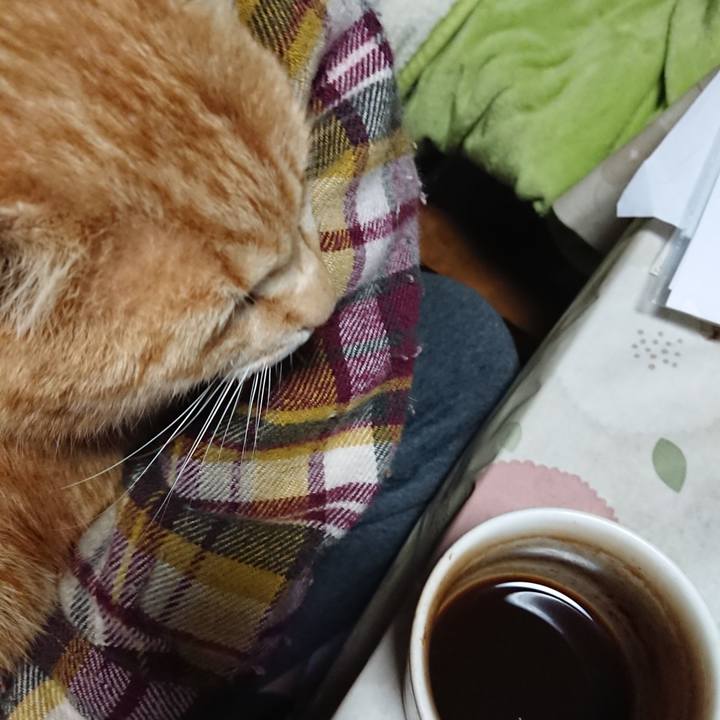 43d0942b 3a55 4e48 84c8 92624ba639c4 1586635727251