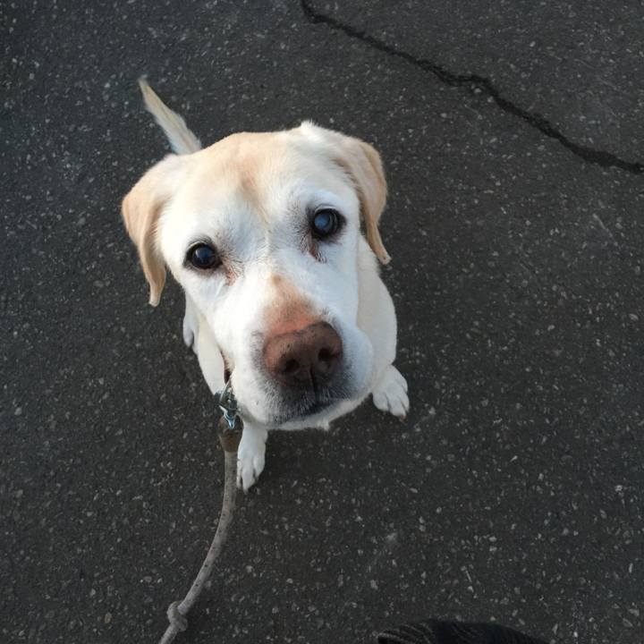 43d103b8 cb7d 4098 adfe 8acfad2c1d67 1522803772244