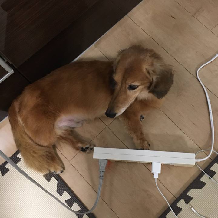 43d11718 90c4 44a4 9b69 e97d84f4f2c2 1626004933930