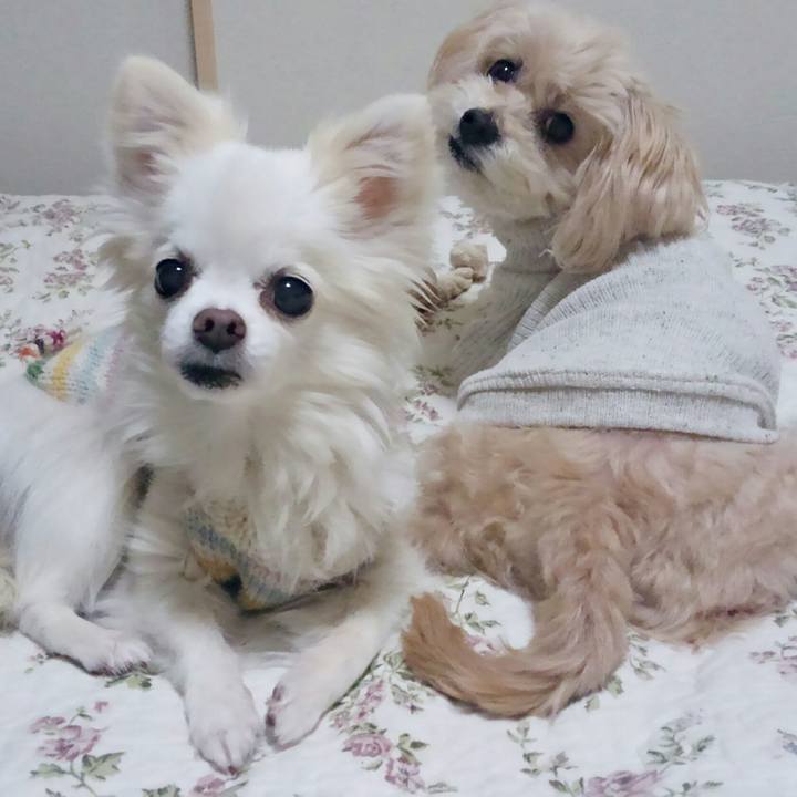 43d122cc 9f66 4879 8eae 02b454d9f8a2 1516795242567