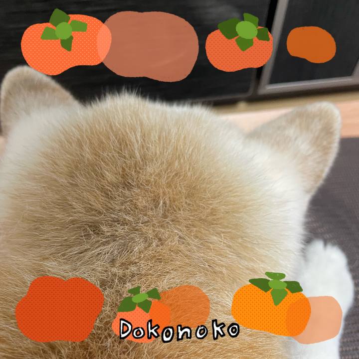 43d163f4 2c17 4e28 9365 922773a63494 1761571870723