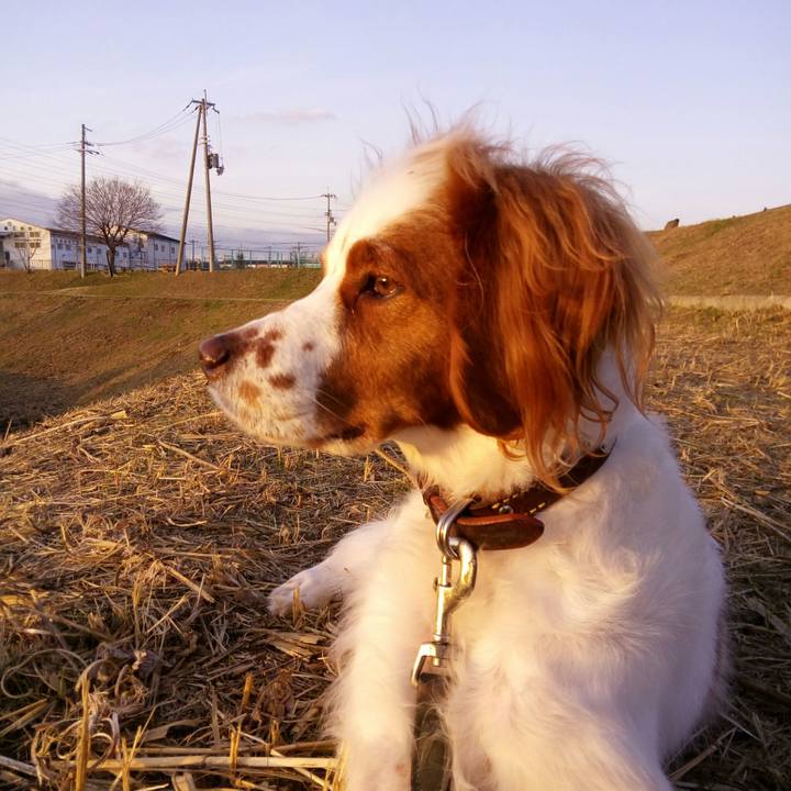 43d19c9a 9ca8 496b b837 ecd4f58c1762 1513327447712