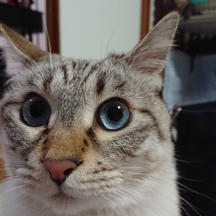 43d1c47e 9a82 4c94 b748 2415dc417d38 1608635355226