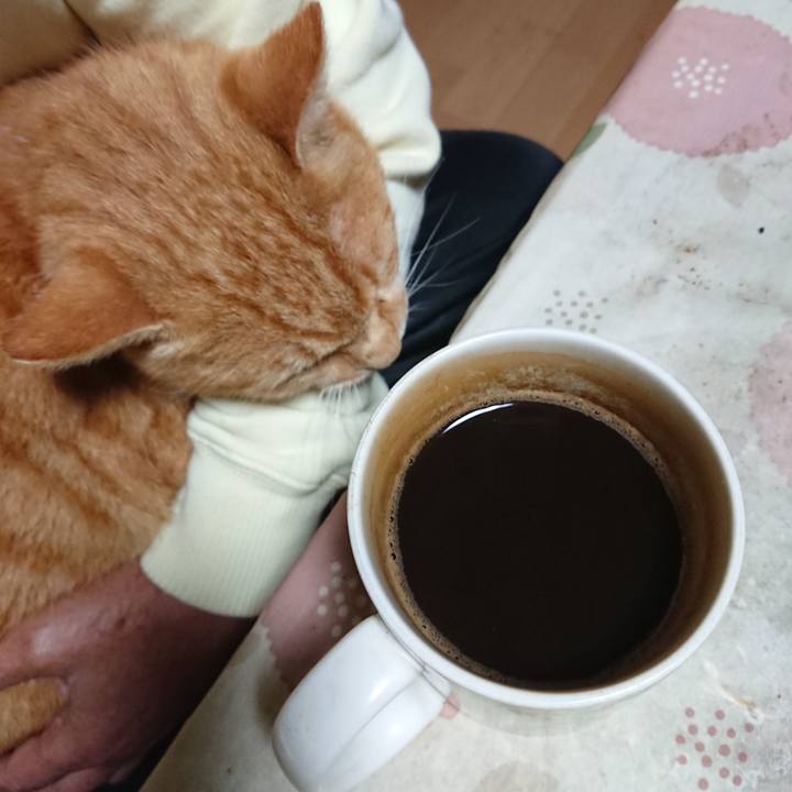 43d24374 c651 4ba5 b211 cb5ded9302e1 1602276848391