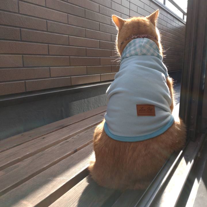 43d29cf3 cf14 4f70 8177 9bc225e7f060 1648164854090