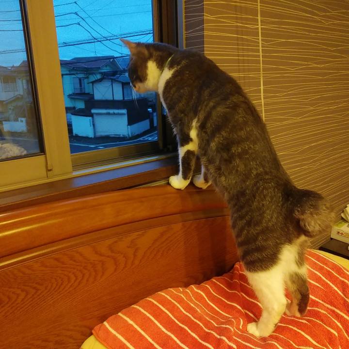 43d2d232 607c 4f54 a56e b0c9e883b93e 1589881400494