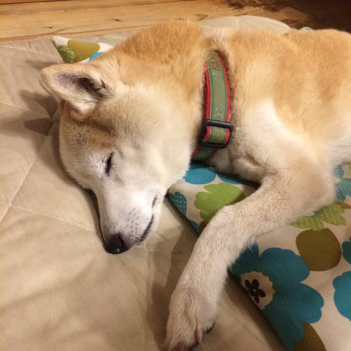 43d2eee7 34ca 4c1f 8040 f7da82d7ffe6 1564931298751