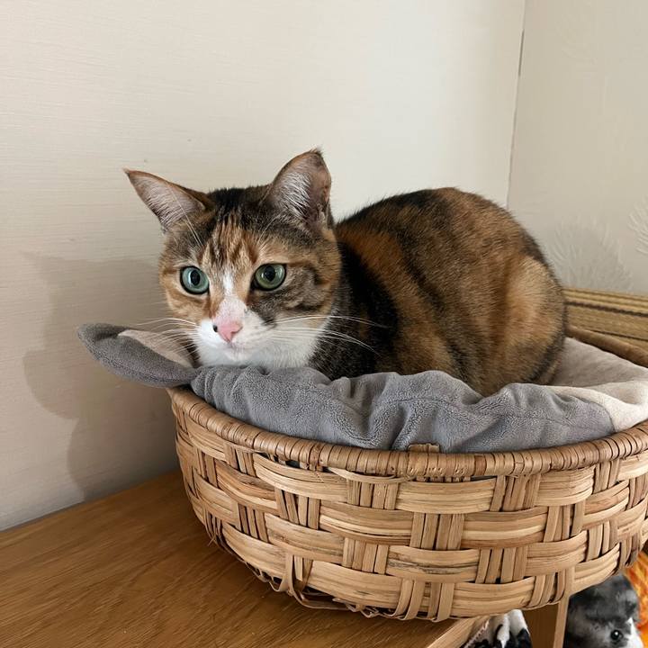 43d36412 690d 466e b772 8933048ef18a 1737723800473