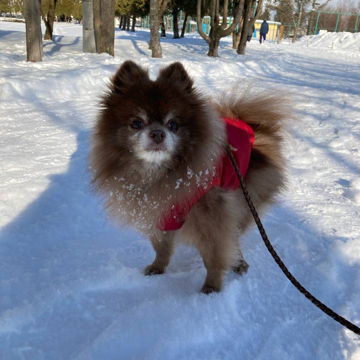 43d39131 0727 4d38 9ee5 65df6957bf79 1644292462529