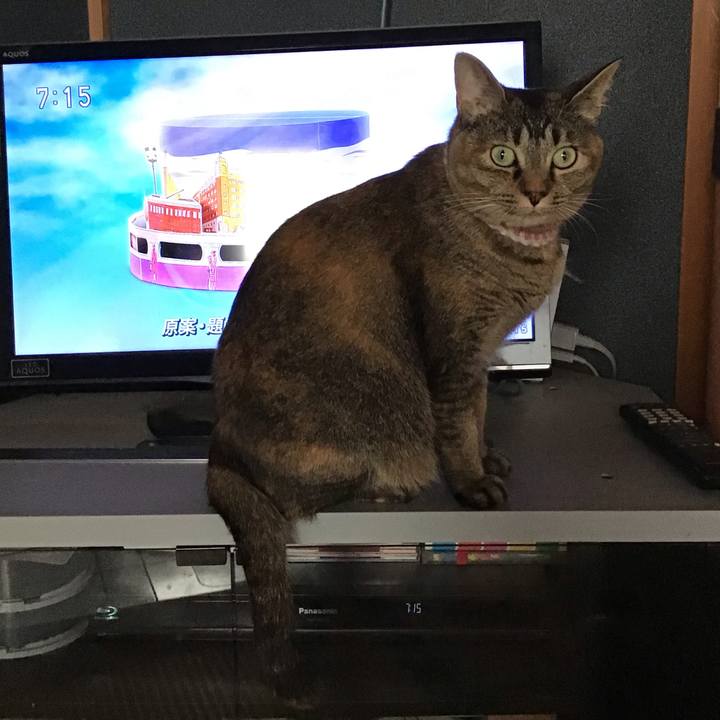 43d39952 e835 40c2 b2cc 874e2966897e 1656973162466