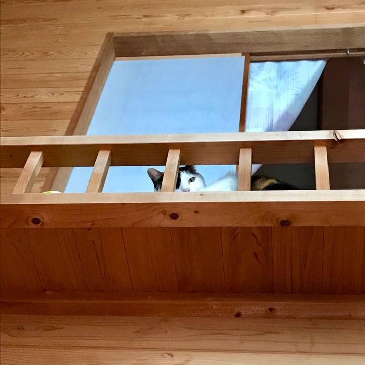 43d3c5b7 cef7 4ec1 b1f4 d70c8cacd4d2 1515720541606