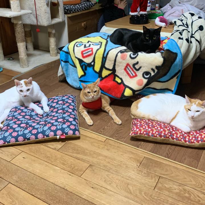 43d3dc29 3978 4228 b6e4 9788c46a99cf 1576237371214