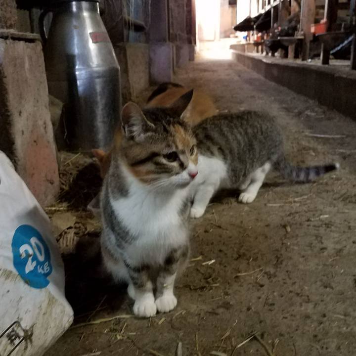 43d3dcde 3cc4 4795 85d2 5d4bdaca3912 1518059411807