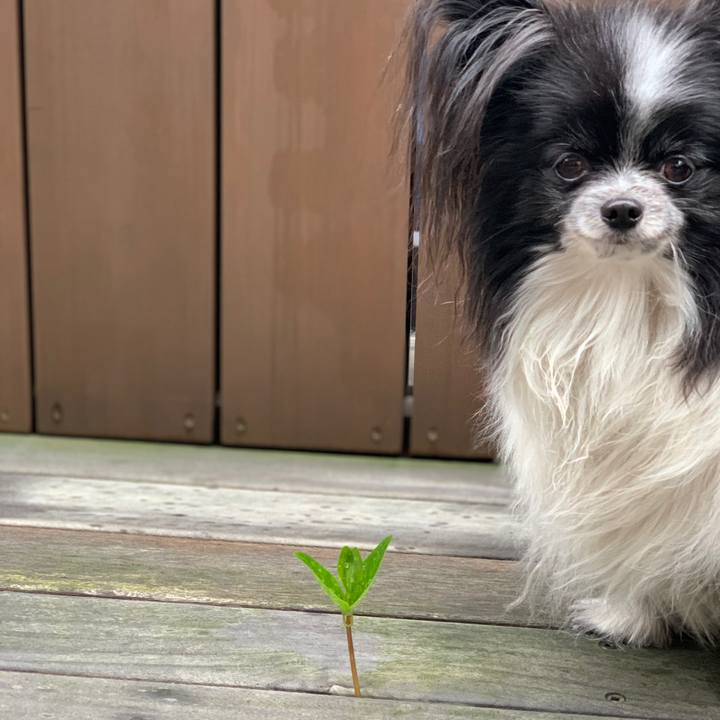 43d3de20 8c5b 4d06 ab1a 99fcd42a4bd8 1583668893284