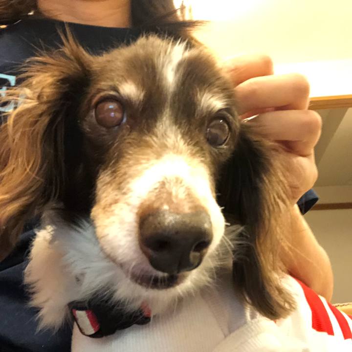 43d3e86f 6bf4 439b bdb9 bbcc852c21c4 1569727901290