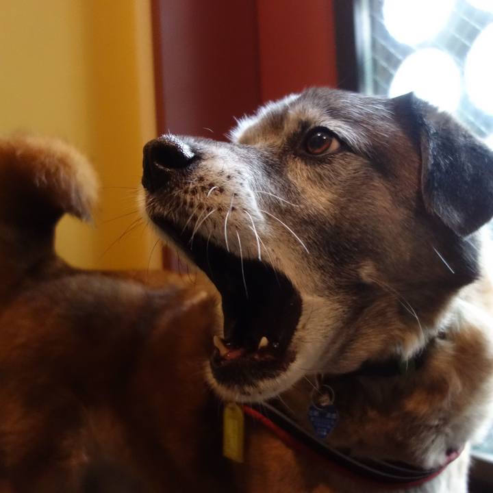 43d3fe09 aa96 4e26 a31c b01acfffc604 1665016815014