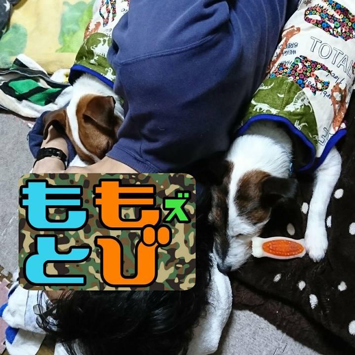 43d402bf d1bb 4777 aecf 953ecbe8e0df 1552317568532