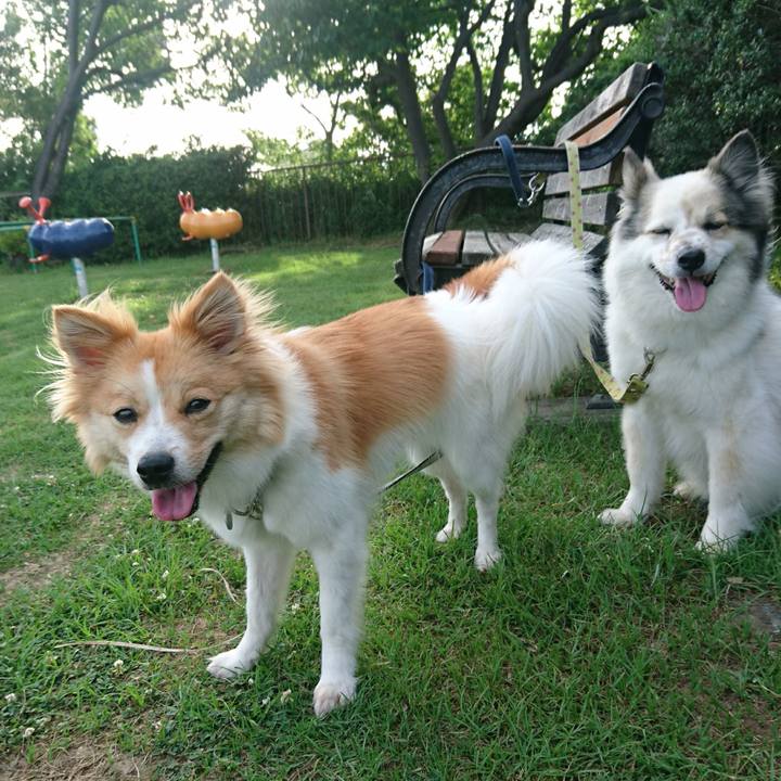 43d431ed e1a0 4a84 b9ce 69a101a1813c 1530618558214